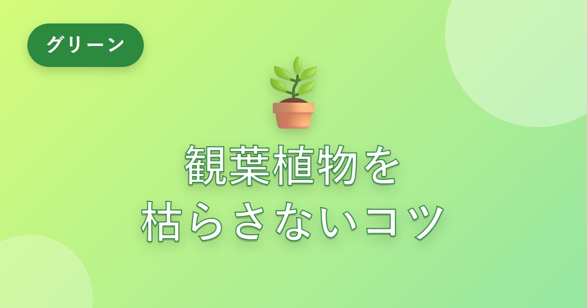 観葉植物を何度も枯らした私が、枯らさず育てられるようになったコツ